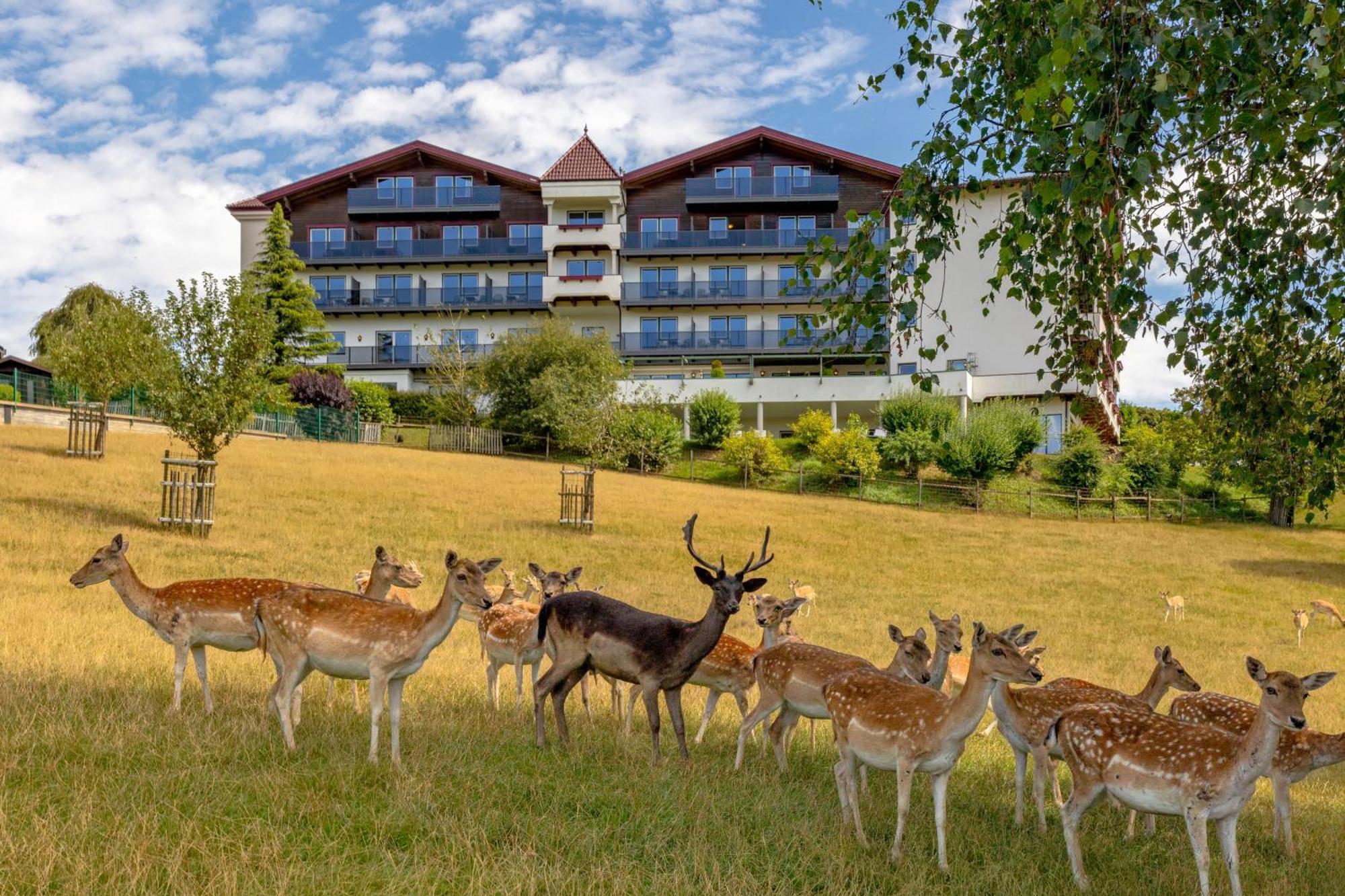 Natur- Und Wohlfuehlhotel Kastenholz Wershofen Bagian luar foto